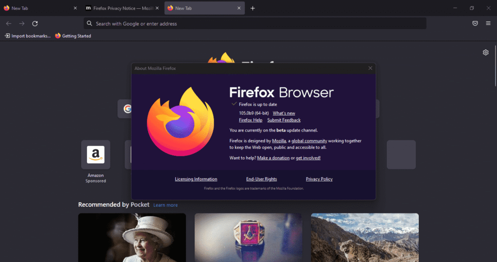 Firefox Kullanmayarak Çok Şey Kaçırıyorsunuz!